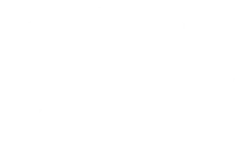 Easy-Leadership Wildsau-Logo